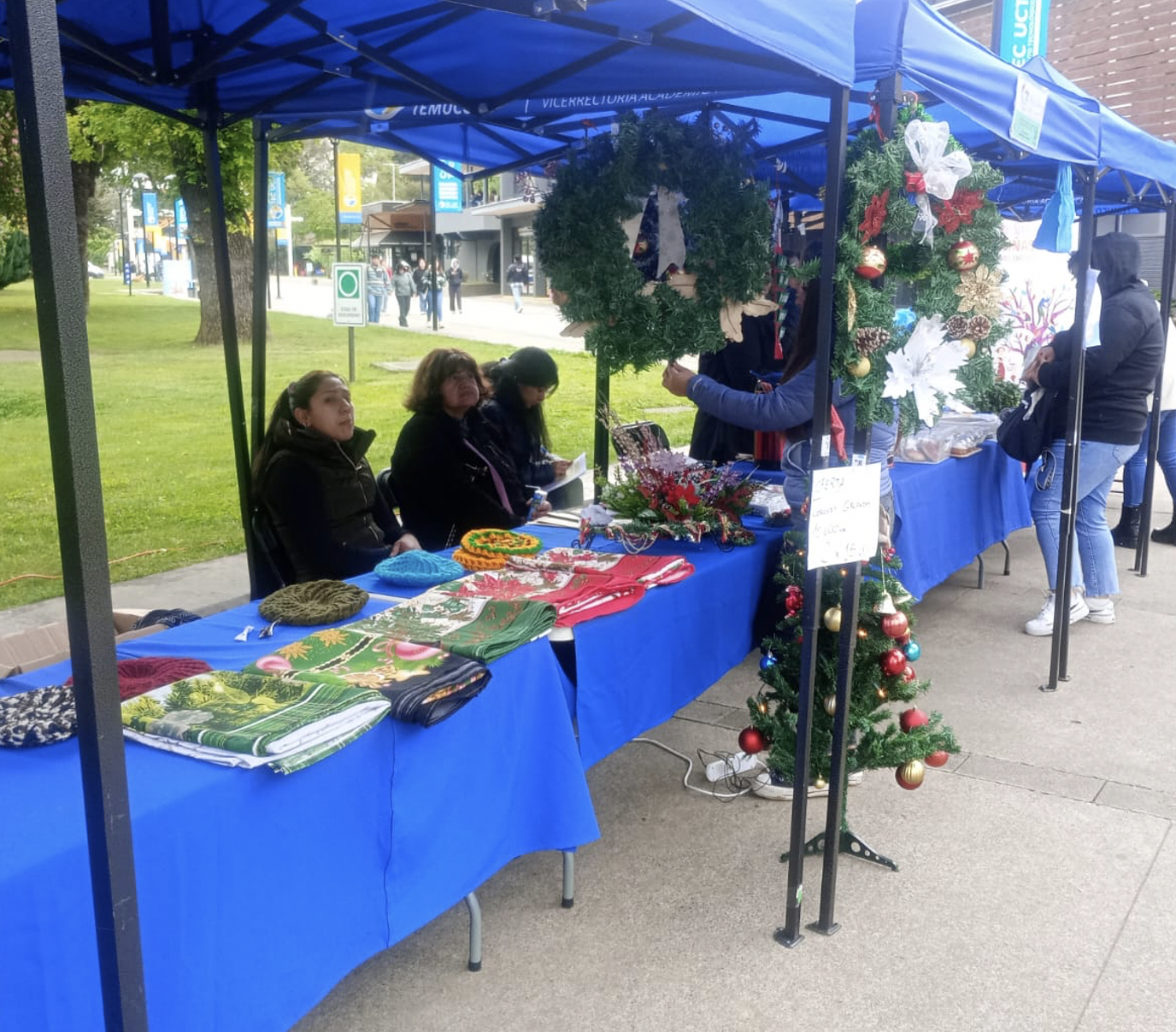 Exitosa feria de emprendimientos se realizó para cuidadoras del Programa Afectos Araucanía de Tierra de Esperanza